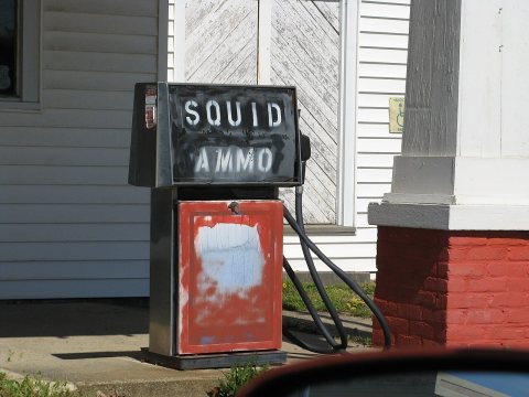 Squid Ammo