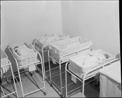 Babies in the nursery. Clinch Valley Clinic Hospital, Richlands, Tazewell County, Virginia
