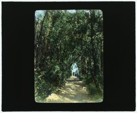 "Hickory Hill," Colonel Henry Taylor Wickham house