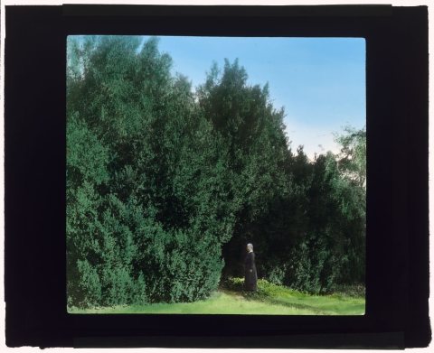 "Hickory Hill," Colonel Henry Taylor Wickham house