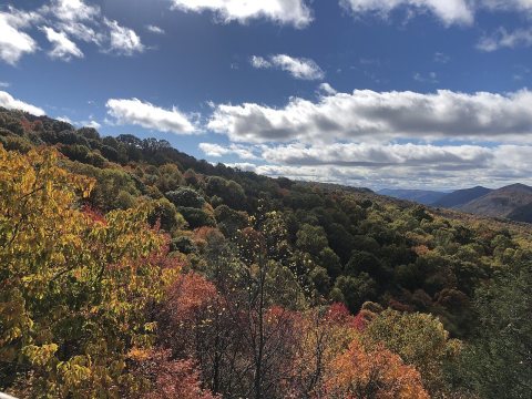 Flag Rock Overlook