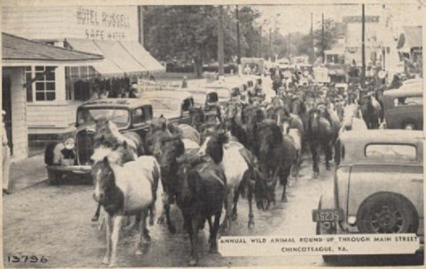 1941 ponies postcard obverse