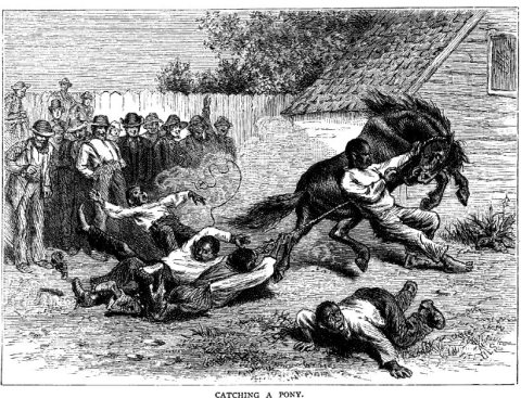 Pyle Catching a Pony