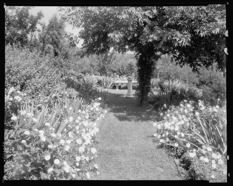 Gibbs Hill Garden