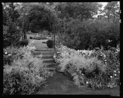 Gibbs Hill Garden