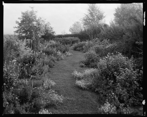 Gibbs Hill Garden