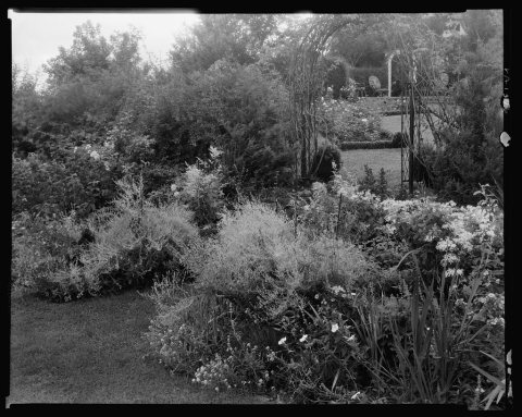 Gibbs Hill Garden
