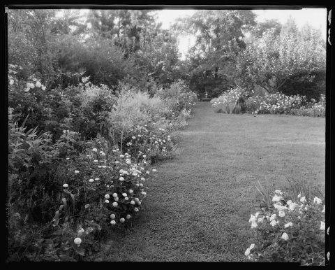 Gibbs Hill Garden