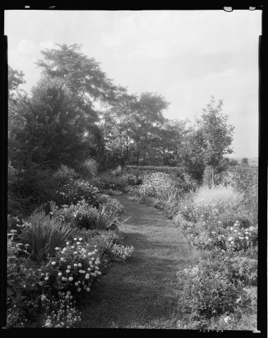 Gibbs Hill Garden