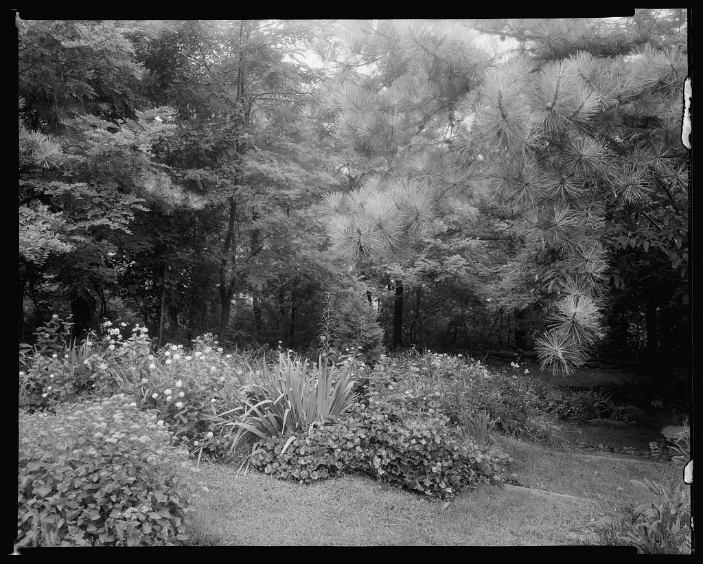 Gibbs Hill Garden