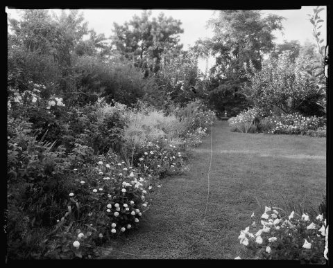 Gibbs Hill Garden