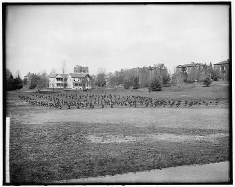 VIRGINIA P.I. FORMATION