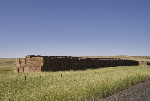 Seemingly endless rows of stacked hay bales near Starbuck, Washington
