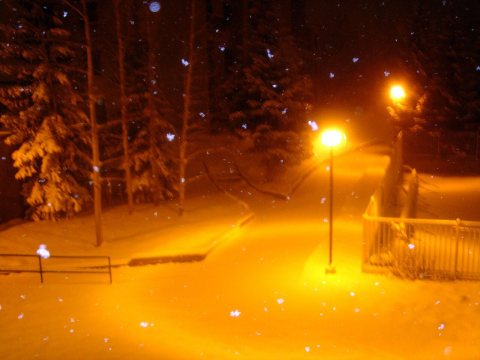Golden Night Snow