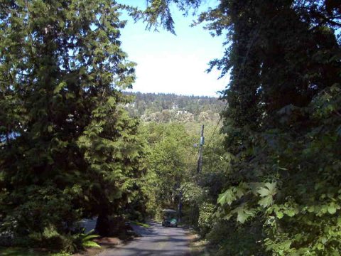 YarrowPt NE 42nd Street Looking East
