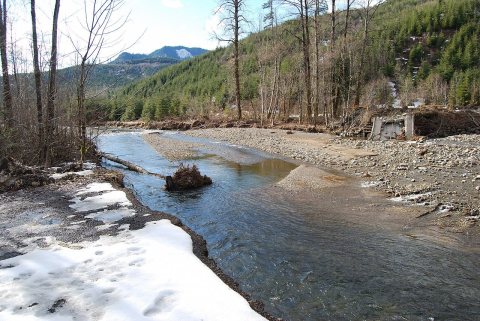 FEMA - 40060 - Tilton River in Washington