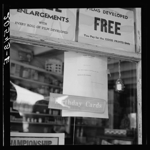 Untitled photo, possibly related to: Western Washington, Lewis County