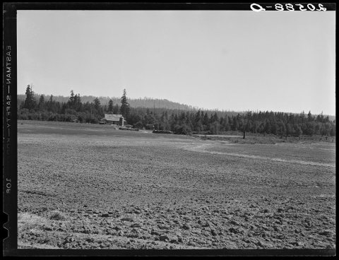 The Nieman farm showing cleared land on which the bulldozer is clearing more land. Western Washington, Lewis County, ne…