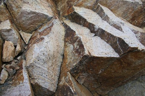 Flickr - brewbooks - Rocks with Fossils at Slate Peak (1)