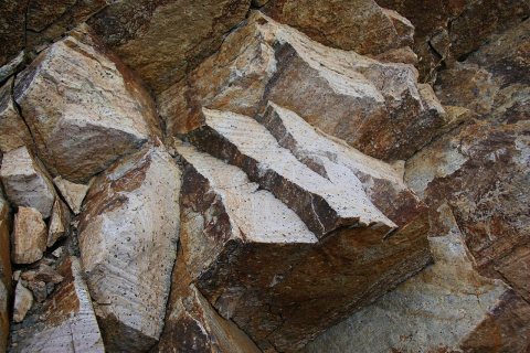 Flickr - brewbooks - Rocks with Fossils at Slate Peak
