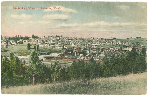 Birds eye view of Palouse, Washington, circa 1907 - DPLA - 6d86953d99aebfb9a6392b4d25ea12d5