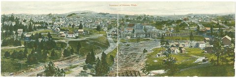 Panorama of Palouse, Washington, circa 1907 - DPLA - 84ab90a07fb0281d3ff85d218eaea26d