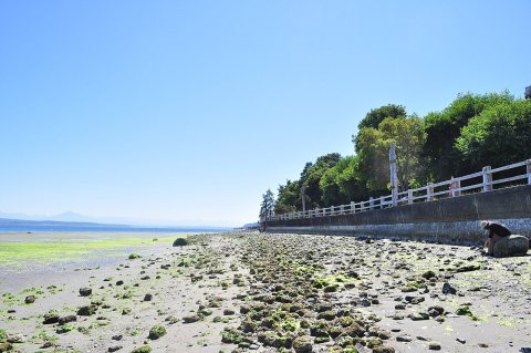 Langley, WA - beach 01