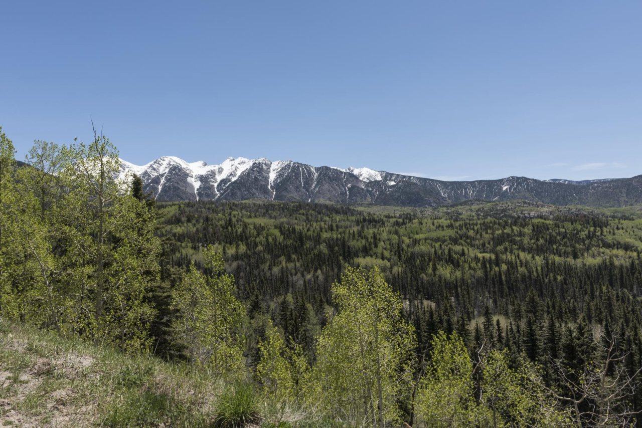 Part of the vast San Juan National Forest and the mountain range of the same name in the distance near the settlement o…