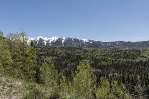 Part of the vast San Juan National Forest and the mountain range of the same name in the distance near the settlement o…