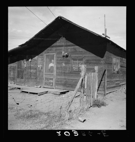 Family living in shacktown community. Washington, Yakima Valley
