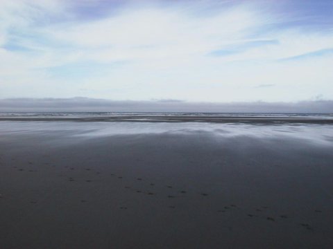 Long Beach, WA - panoramio - Gabriele Giuseppini