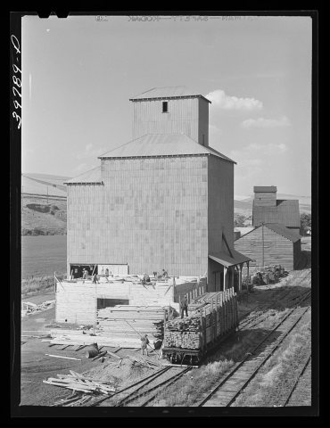 Untitled photo, possibly related to: Adding new storage space to wheat elevator at Dayton, Washington. They were gettin…