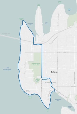 Medina city limits