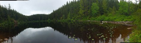 Lost Lake on Sumas Mountain