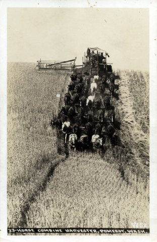 33-Horse Combine Harvester, circa 1913