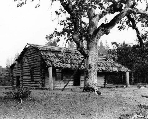 Cabin near Steilacoom