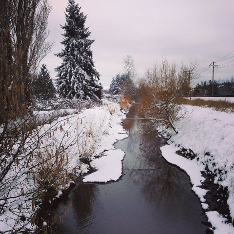 Pacific, WA — Boeing Canal