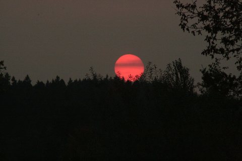 Blood Red Sunset