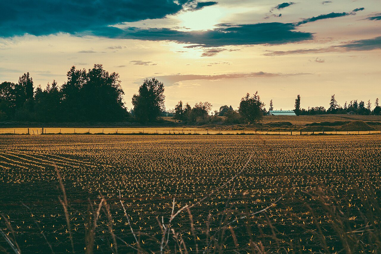 Enumclaw Farm Washington State