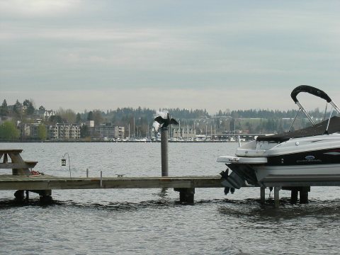 Lyon Creek Park to Kenmore 01