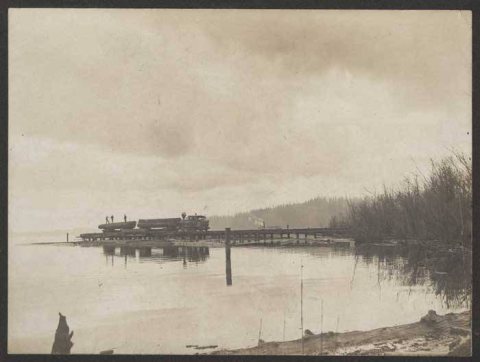 Logs and railroad at Lake Forest Park, ca. 1902