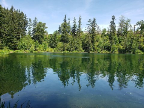Lake Wilderness in