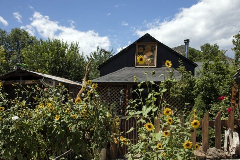 A house whose owner is partial to sunflowers in