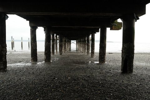 Under The Bridge