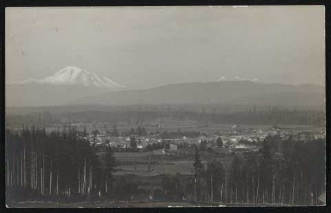 View of Ferndale, Washington