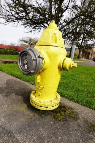 Fire hydrant, Battle Grounds, Washington, March 2020