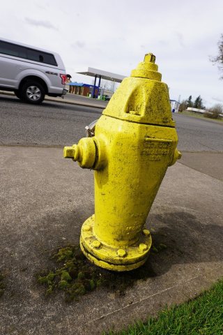 Fire hydrant, Battle Grounds, Washington, rear, March 2020