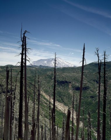 The quiet Mount St. Helens volcano in Washington looms in the distance beyond the burned-out remants of the gigantic er…