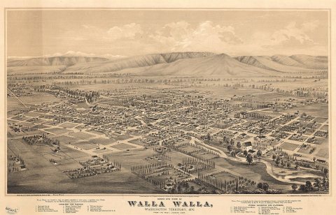 Bird's Eye View of Walla Walla, Washington Territory, 1876