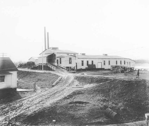 Pacific Coast Condensed Milk Co., Mount Vernon